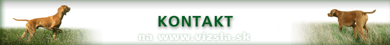 Kontakt